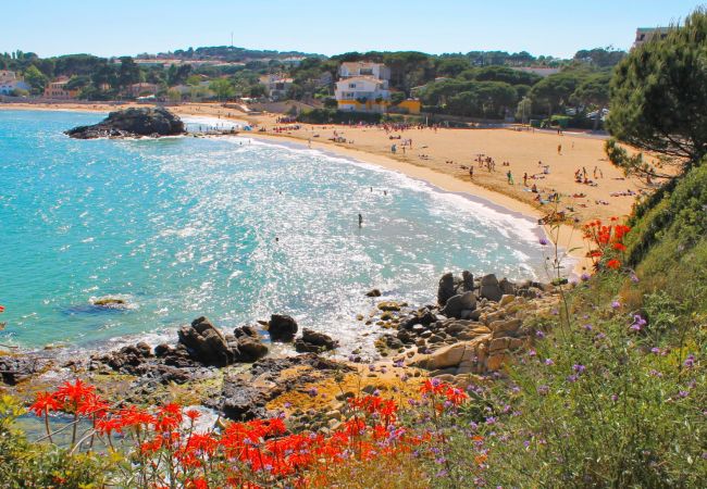 Apartamento en Palamós - 2-LA PROA BAJ-deg