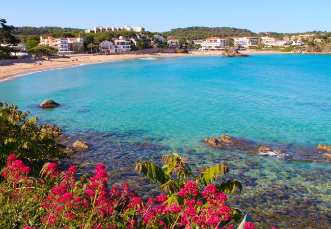 Apartamento en Palamós - 2-LA PROA BAJ-deg