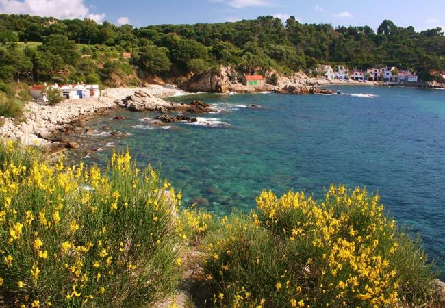 Apartamento en Palamós - 2-LA PROA BAJ-deg