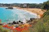 Apartamento en Palamós - 2-LA PROA BAJ-deg
