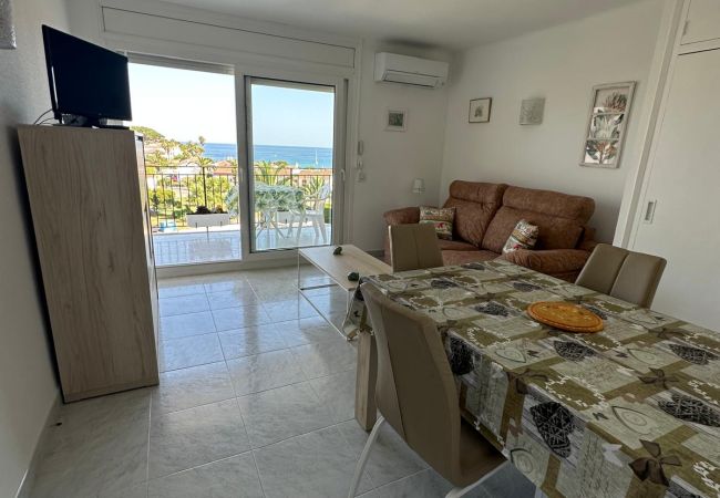 Estudio en Palamós - 1-MIK II 507 TI