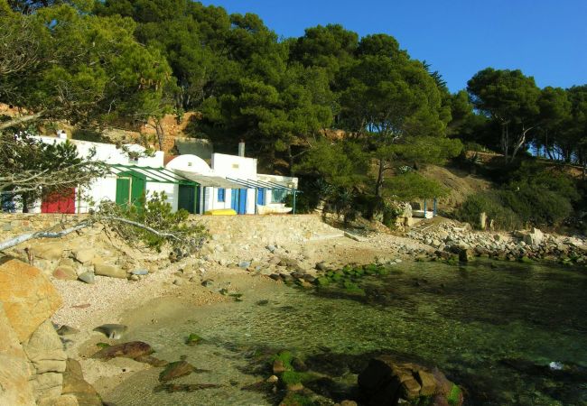 Apartament en Palamós - 3X-ROYAL C212-ber