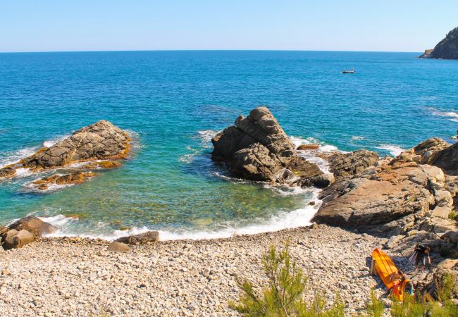 Apartament en Palamós - 2-LA PROA BAJ-deg