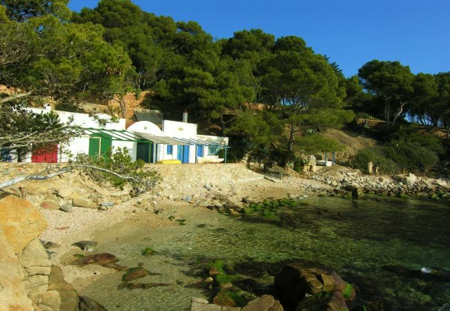 Apartament en Palamós - 2-LA PROA BAJ-deg