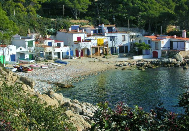 Apartament en Palamós - 2-LA PROA BAJ-deg