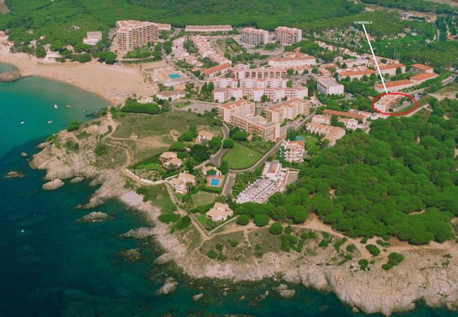 Apartament en Palamós - 3-SOM 105