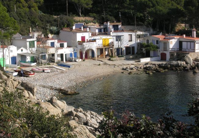 Estudi en Palamós - 1-MARHOY 5
