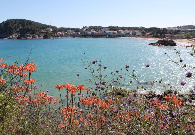 Apartment in Palamós - 3-S.EST. III - 105